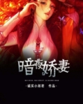 暗夜全文