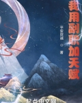我用副职加天赋 小说