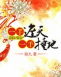 一手遮天一手捶地小说