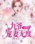 一夜锁情：九爷宠妻无度
