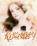 危险婚姻全文在线阅读