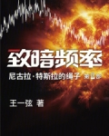致暗频率小说王一弦