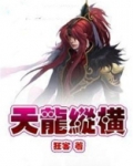 天龙纵横