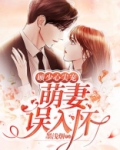 顾少心尖宠：萌妻误入怀