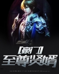 豪门至尊狂婿