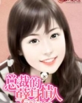 总裁的恨妻,作者天琴