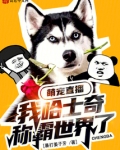 萌犬哈士奇