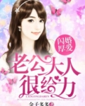 闪婚厚爱,老公大人别闹了