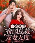 一夜锁情:帝国总裁宠妻无度