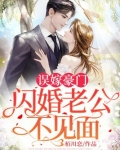 误嫁豪门闪婚老公不见面TXT