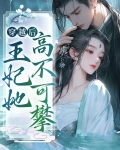 妃常穿越:王后很不乖