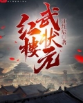 红楼武状元qq小说