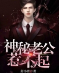 神秘老公惹不起顾景霆全文