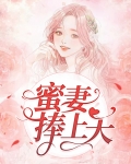 蜜宠甜妻惹上撒旦老公免费