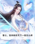曹公，我来助你天下一统怎么样