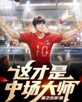 这才是中场大师！