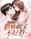 总裁专宠:傲娇萌宝不好惹漫画全集
