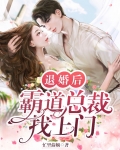退婚后,霸道总裁找上门免费阅读
