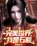 完美世界:我是石毅