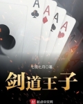 剑道王子 小说