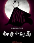初唐小驸马 小说
