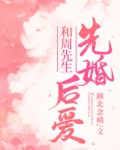 和周先生先婚后爱