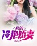 我的冷艳娇妻是个间谍