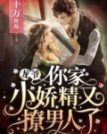 龙少,你的小娇夫又跑啦