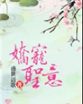 娇宠圣意