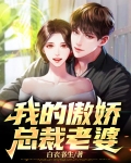 我的傲娇总裁老婆