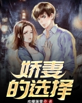 妻子的选择李晓