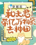 穿越后,和夫君带亿万物资去种田