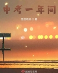 中考一年间