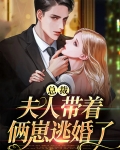 总裁,夫人带着俩崽逃婚了小说