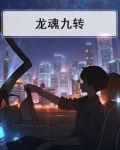 9龙魂转职给谁