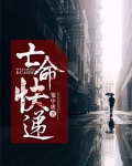 亡命快递插曲
