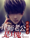 律师老公很正经小说