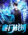 寒门战婿