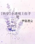 快穿之小透明上位记