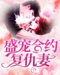 盛宠契约情人名可