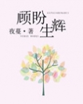 顾盼生辉