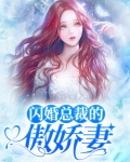 闪婚总裁的娇宠甜妻