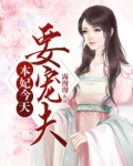 本妃要试婚小说下载
