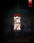 宝藏(谜小说系列)