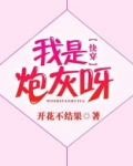 我是炮灰呀快穿百度云