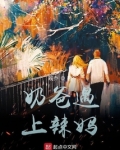 奶爸跟奶妈电视剧