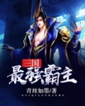 三国最强霸主 小说