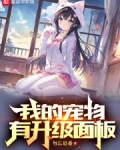 我的宠物有升级面板零点