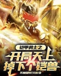 铠甲勇士之开局拿瓦