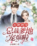 天降四宝,总裁爹地花式宠